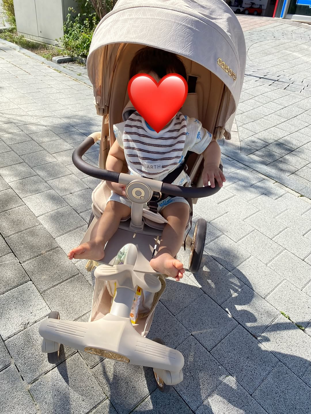 @yuna4234이 올린 올보르 | 앨빈 트라이크 태그 게시물
