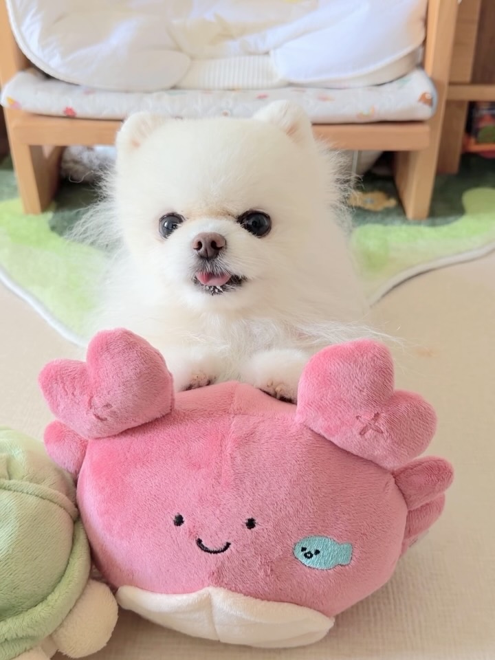 @per0e0이 올린 바잇미 태그 게시물