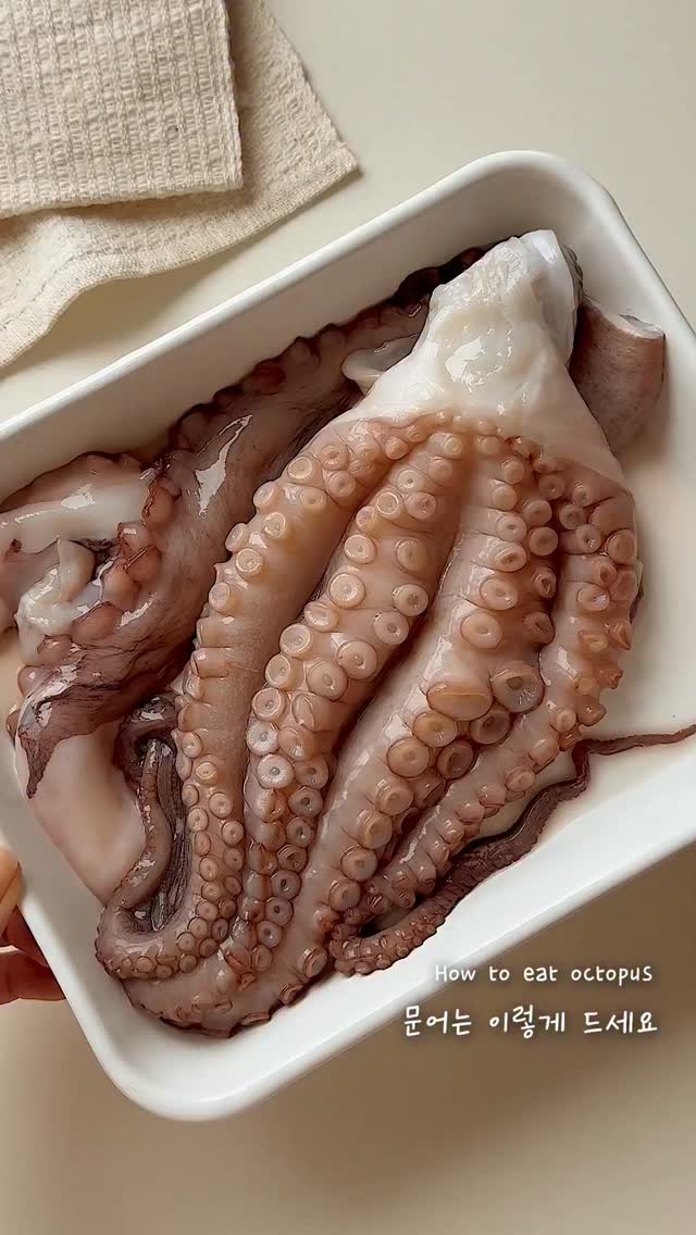 @yoriharu.cook이 올린 서사원 출판사 태그 게시물