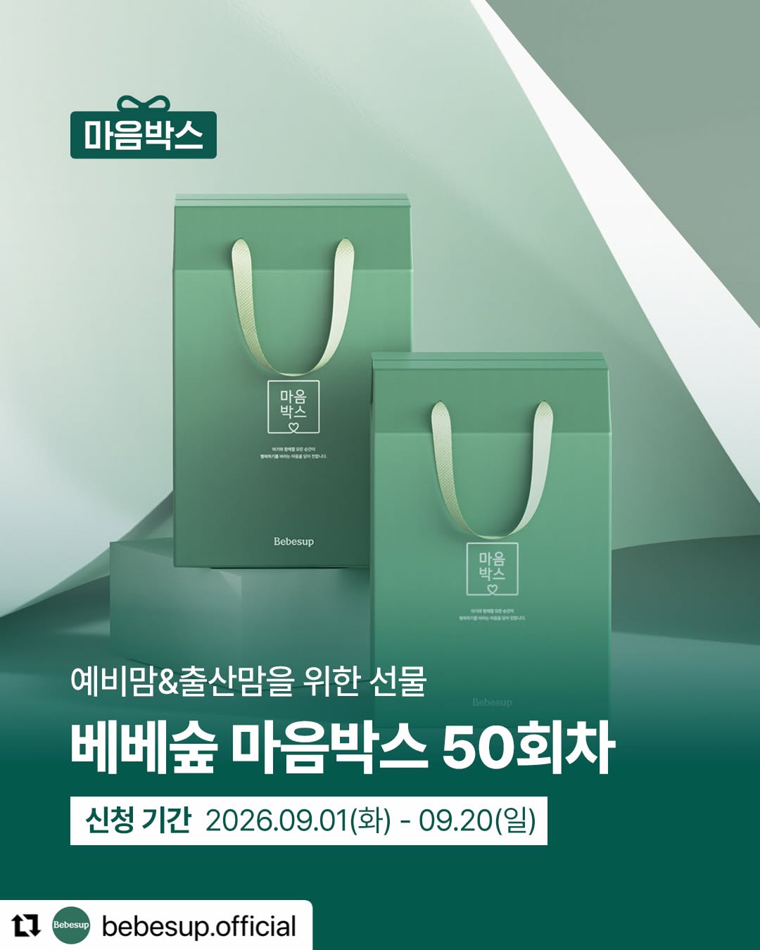 @yeo3ng1이 올린 베베숲 태그 게시물