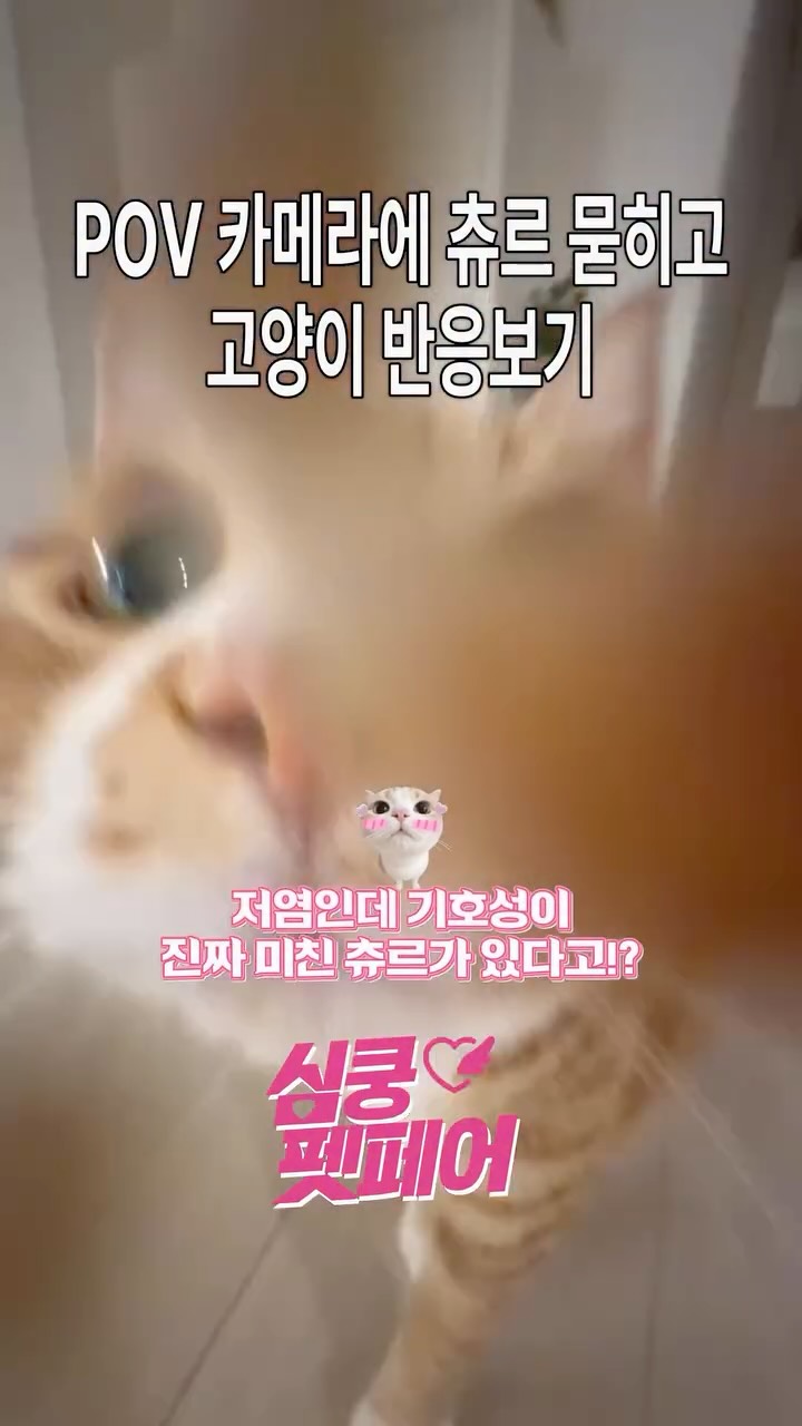 @luckyducky.o_o이 올린 펫프렌즈 태그 게시물