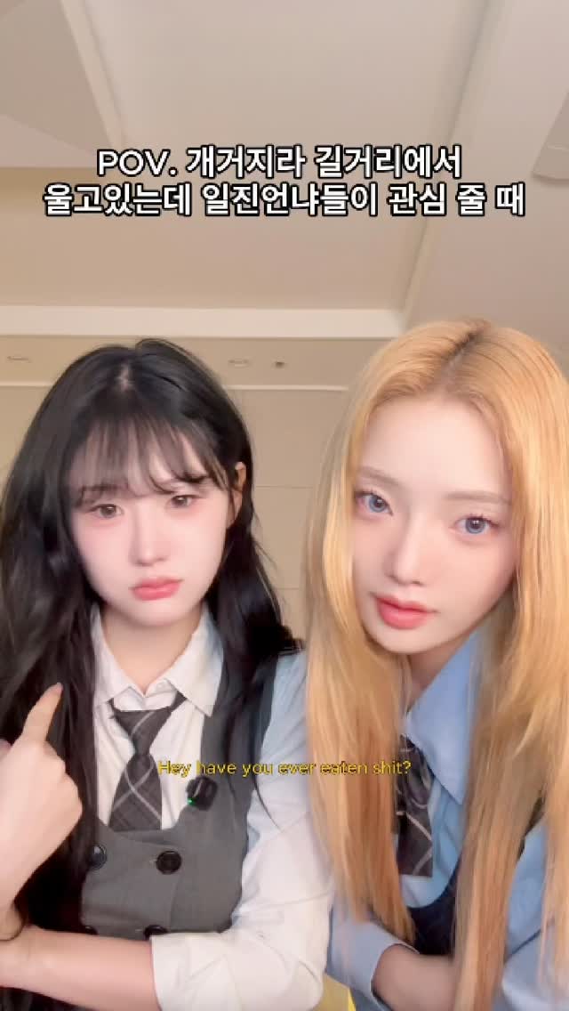 @gnedu_u이 올린 토코보 TOCOBO 태그 게시물