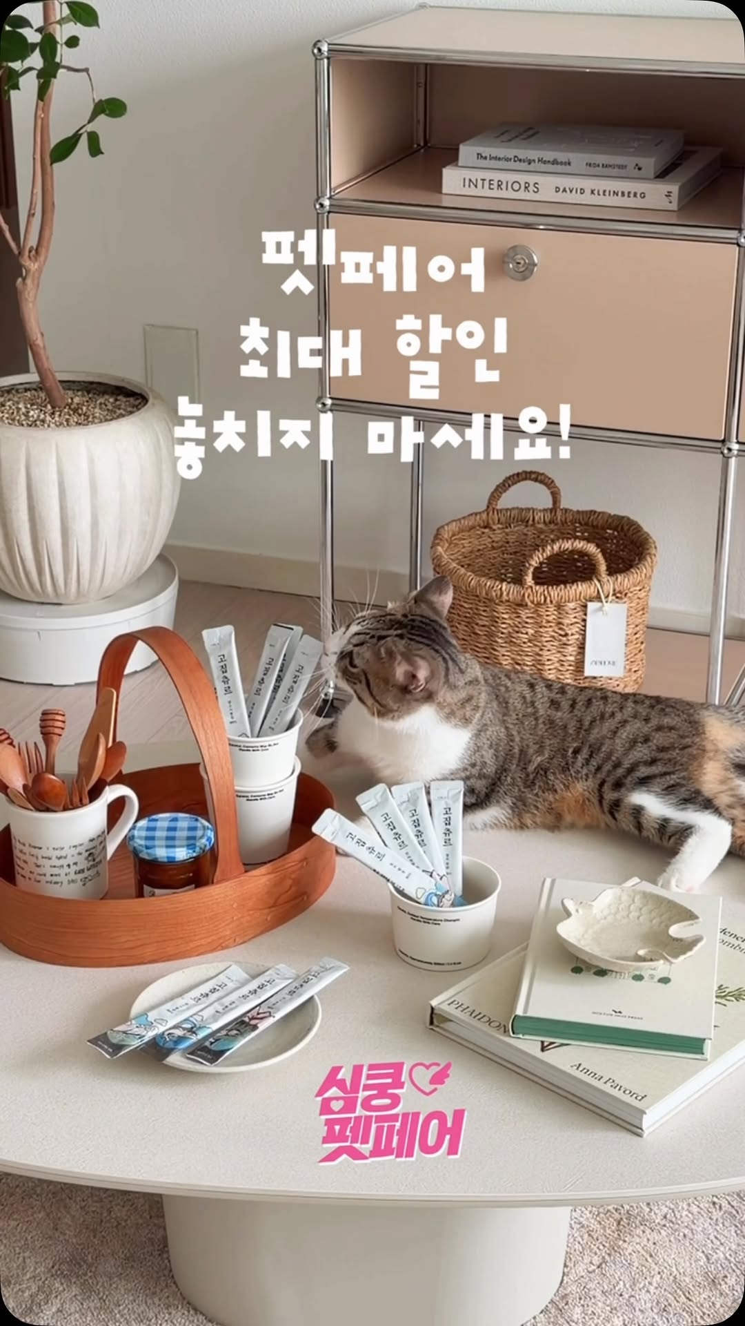 펫프렌즈 광고 소재
