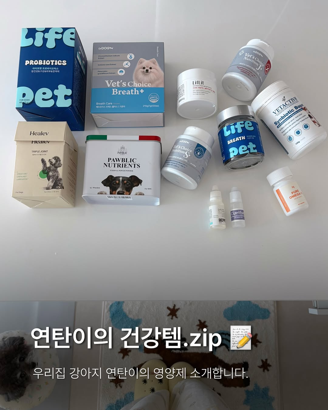 @y.tan_s2이 올린 베츠초이스 태그 게시물