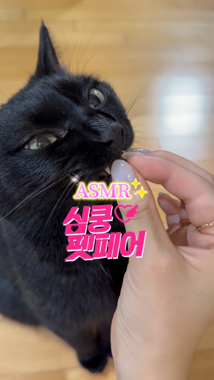 @kingmeonji이 올린 펫프렌즈 태그 게시물