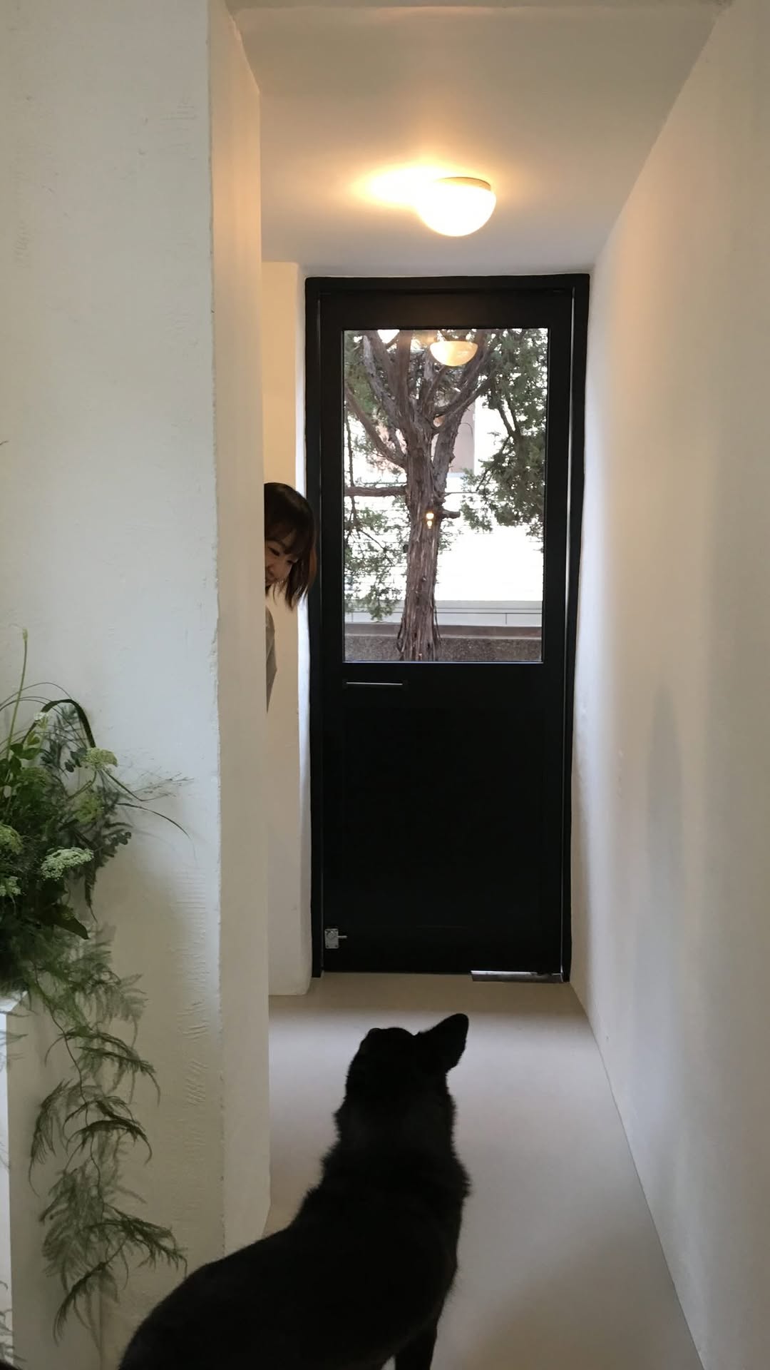 @jiji.0o0o이 올린 라임라잇 애슬릿 태그 게시물