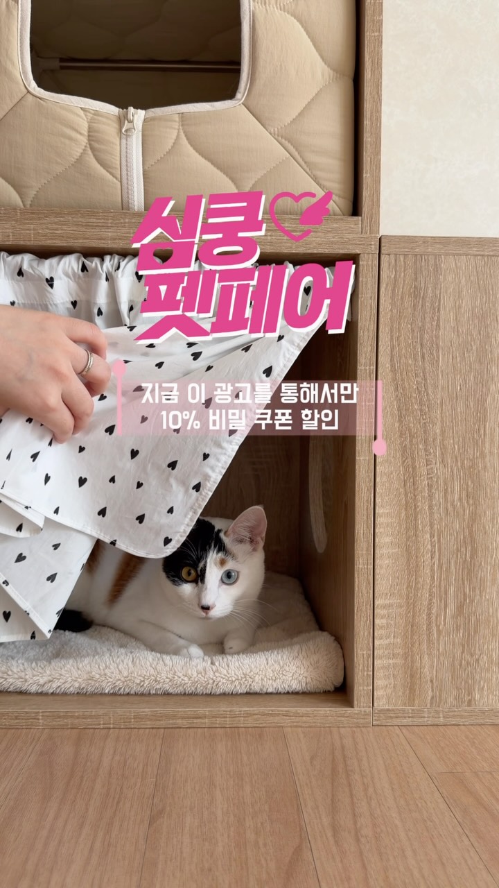 @oddy__chichi이 올린 펫프렌즈 태그 게시물