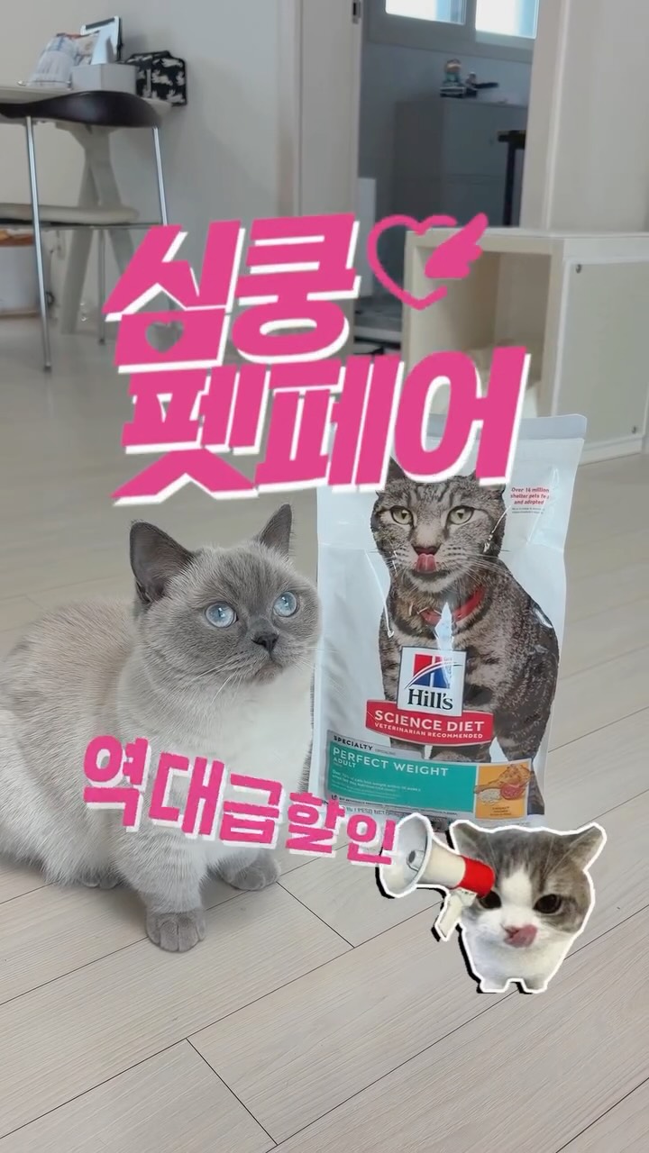 @supremeecatt이 올린 펫프렌즈 태그 게시물