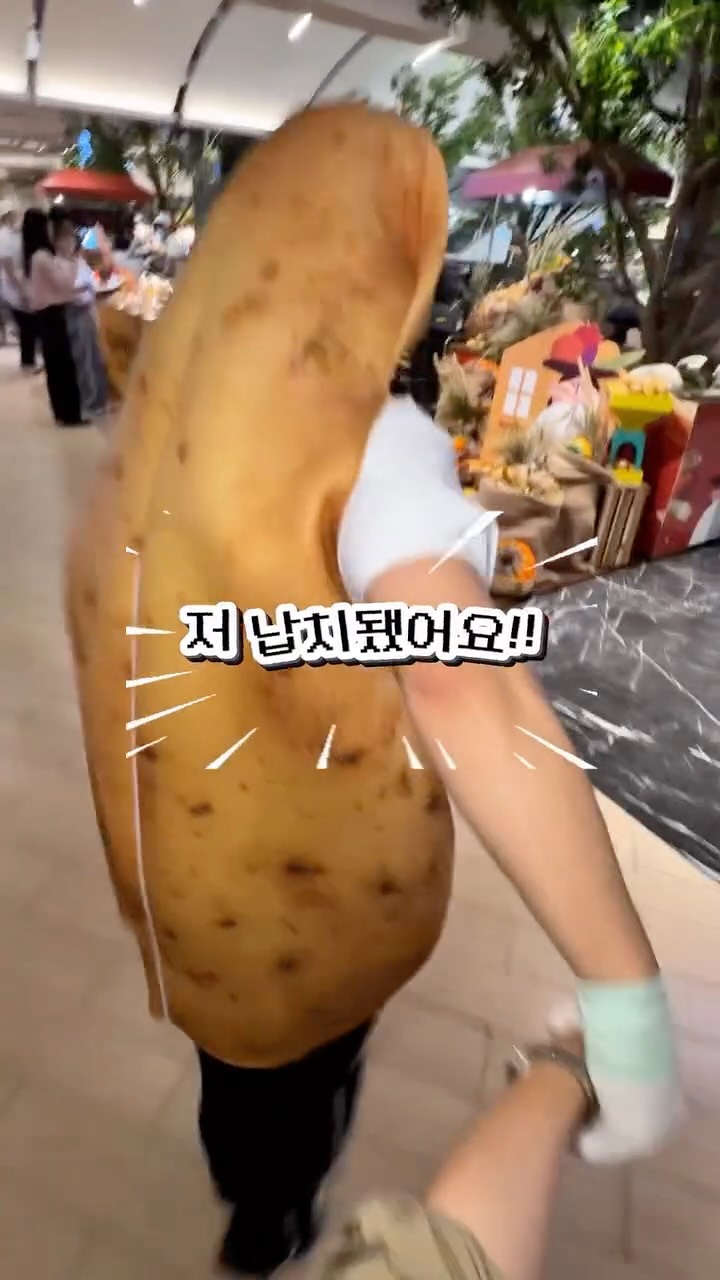 @hyozero_919이 올린 더현대 대구 태그 게시물