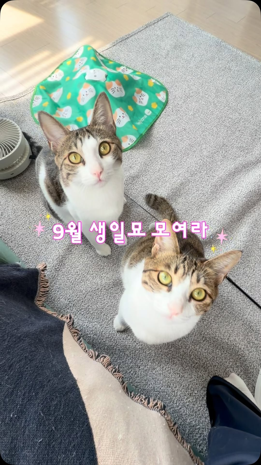 @hazzduzz이 올린 펫프렌즈 태그 게시물