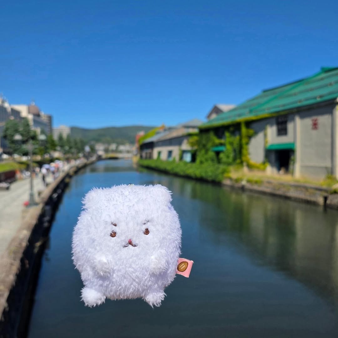 @buangdan이 올린 망그러진곰 태그 게시물