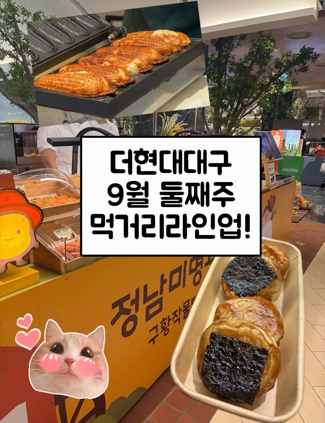 @_pink_pick_이 올린 더현대 대구 태그 게시물
