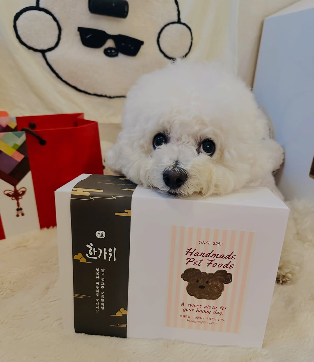 @goodday_julie이 올린 해피팡팡｜원조 강아지 수제 간식 전문점 태그 게시물