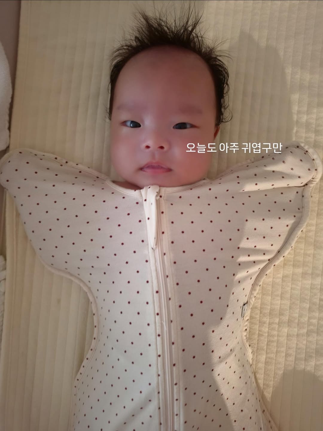 @hello.pull.0.2이 올린 Konny l 코니 태그 게시물