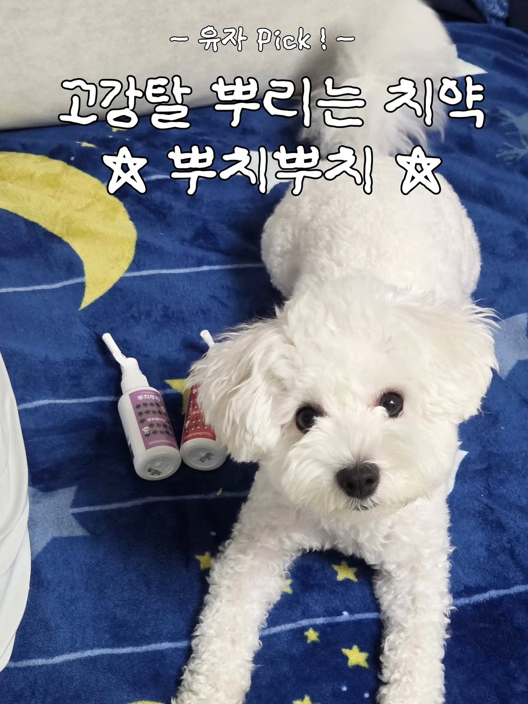 @_.yuzacci._이 올린 고강탈 태그 게시물