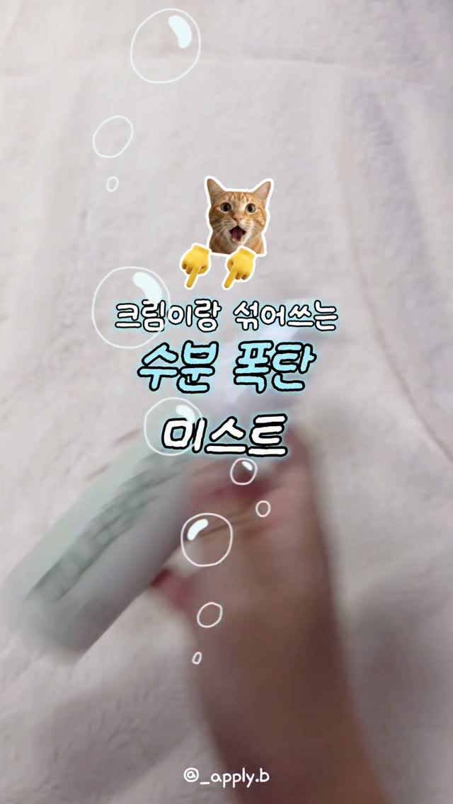 @_apply.b이 올린 코이터널 태그 게시물