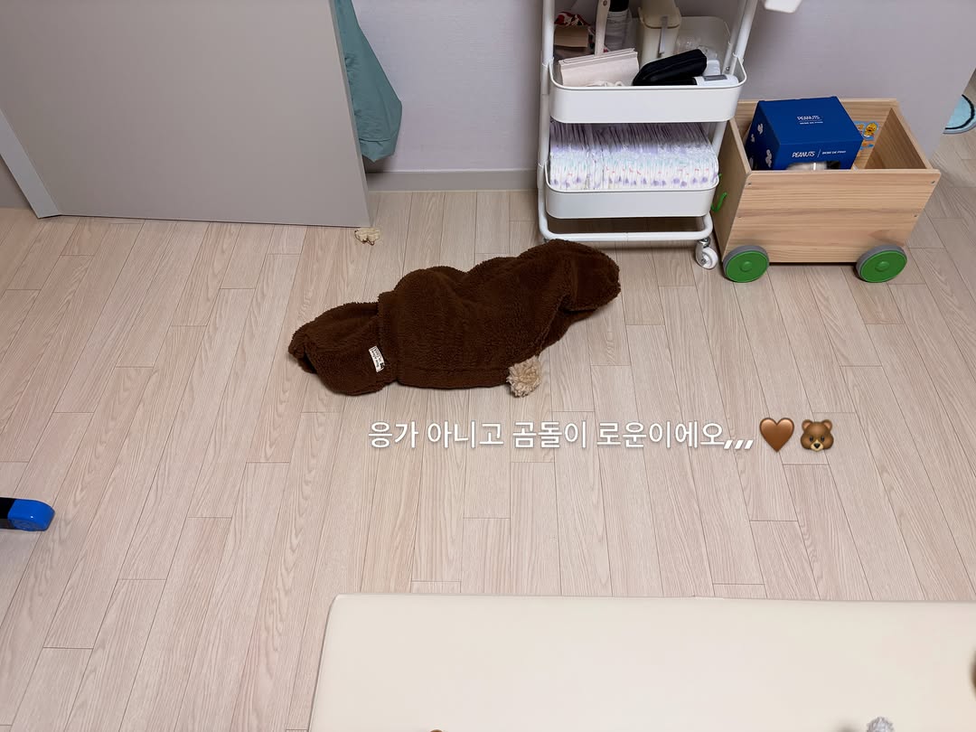 @2._.rowoon_이 올린 콘크리트브레드 태그 게시물