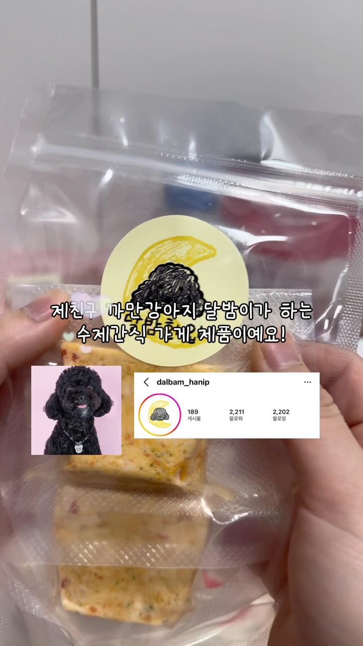 @dali_happie이 올린 팡드미 태그 게시물