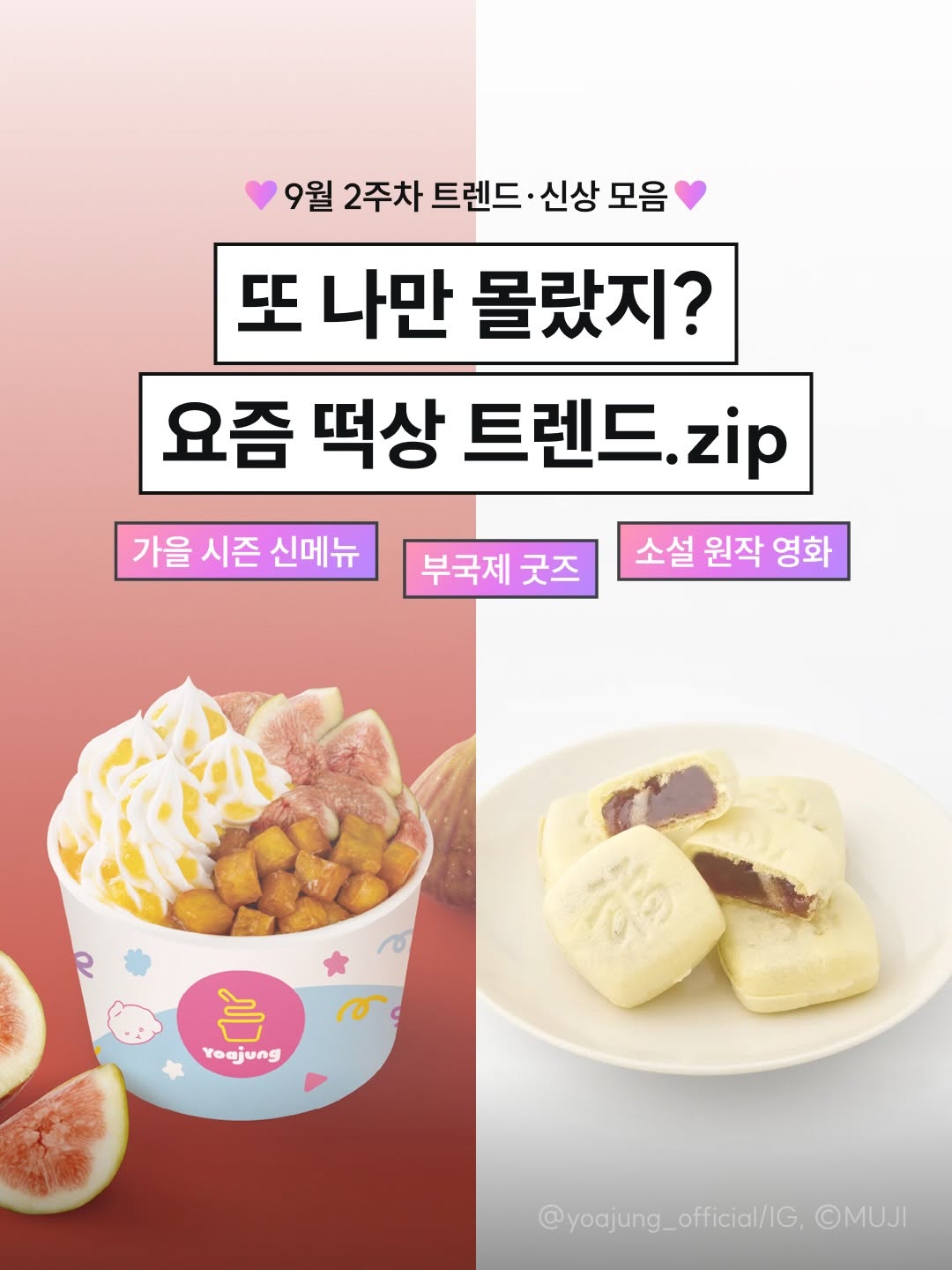@newneek.official이 올린 캔바 태그 게시물