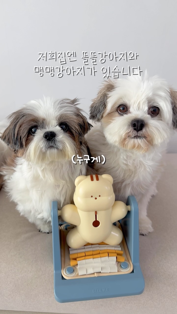 @bab_bori이 올린 바잇미 태그 게시물
