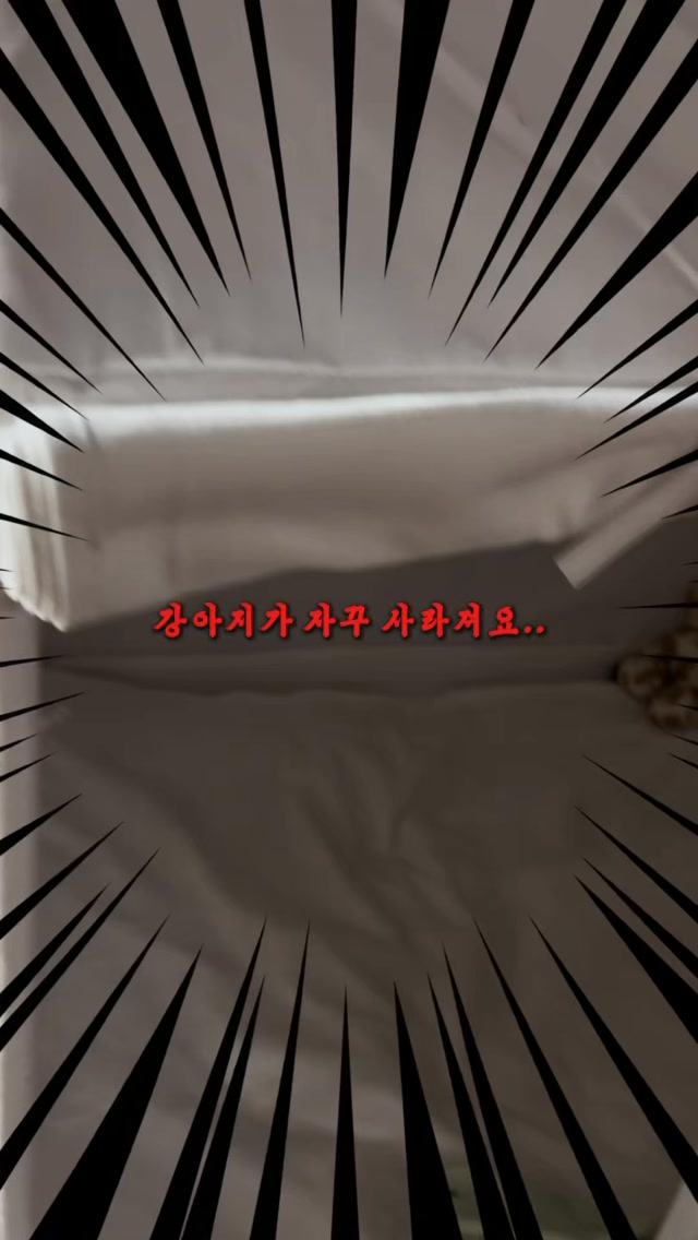 @my_tiny_oh_world이 올린 바잇미 태그 게시물