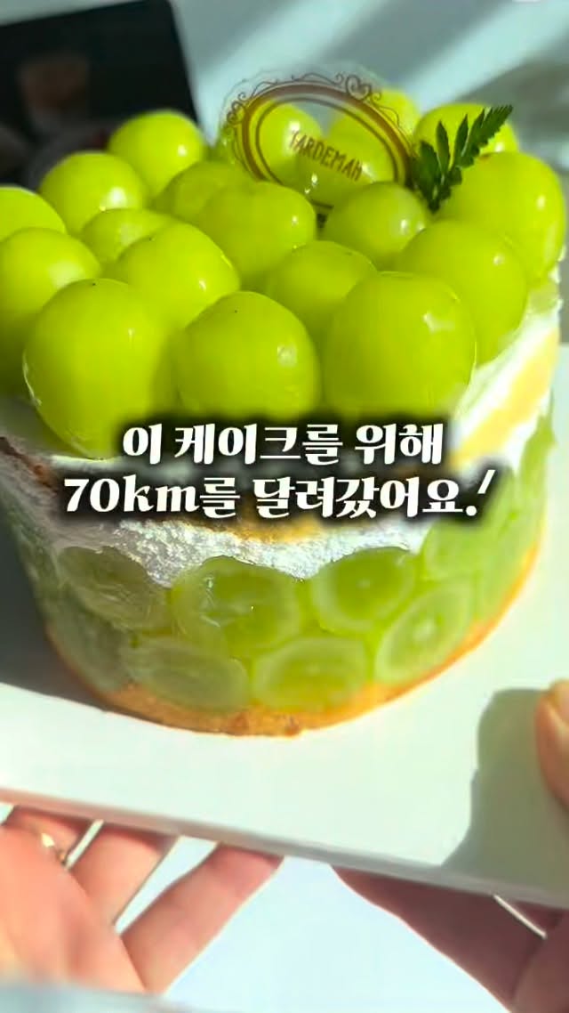 @yuvely._.diet이 올린 타르데마베이커리 태그 게시물