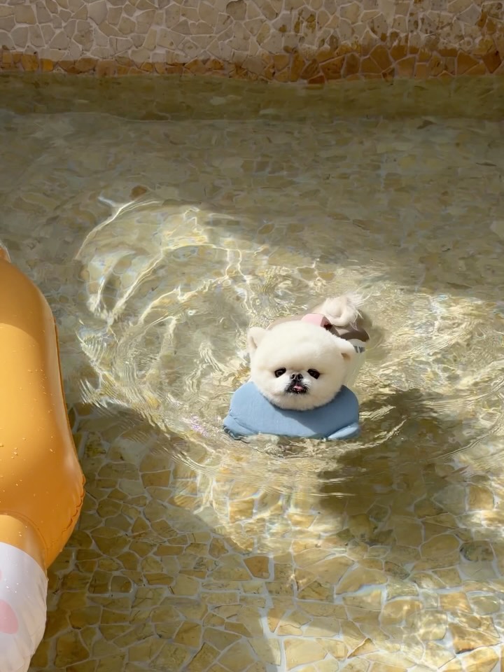 @ong._.sim이 올린 바잇미 태그 게시물