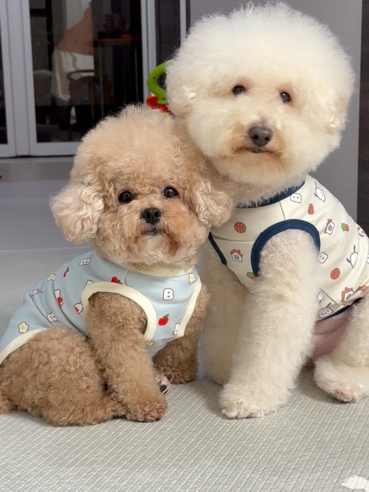 @itsmyjennie_이 올린 바잇미 태그 게시물