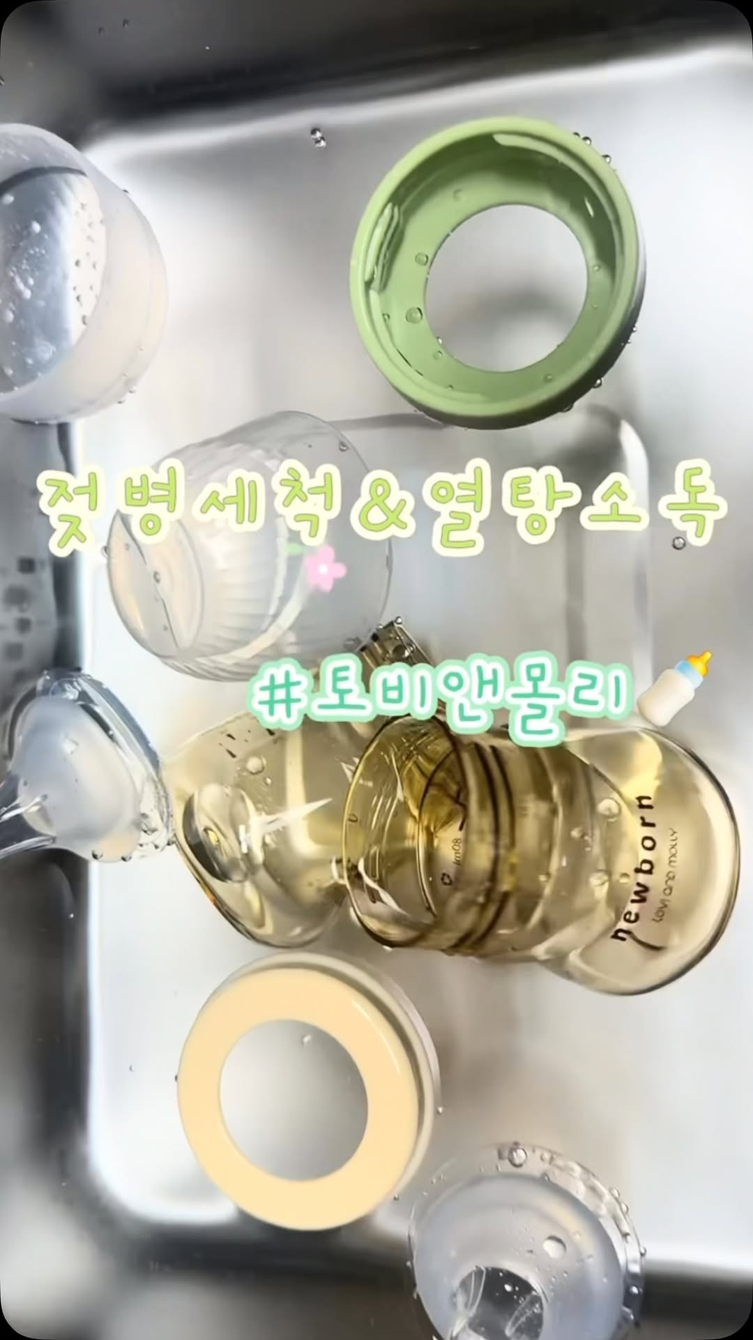 @baby.manbok_26이 올린 토비앤몰리 태그 게시물