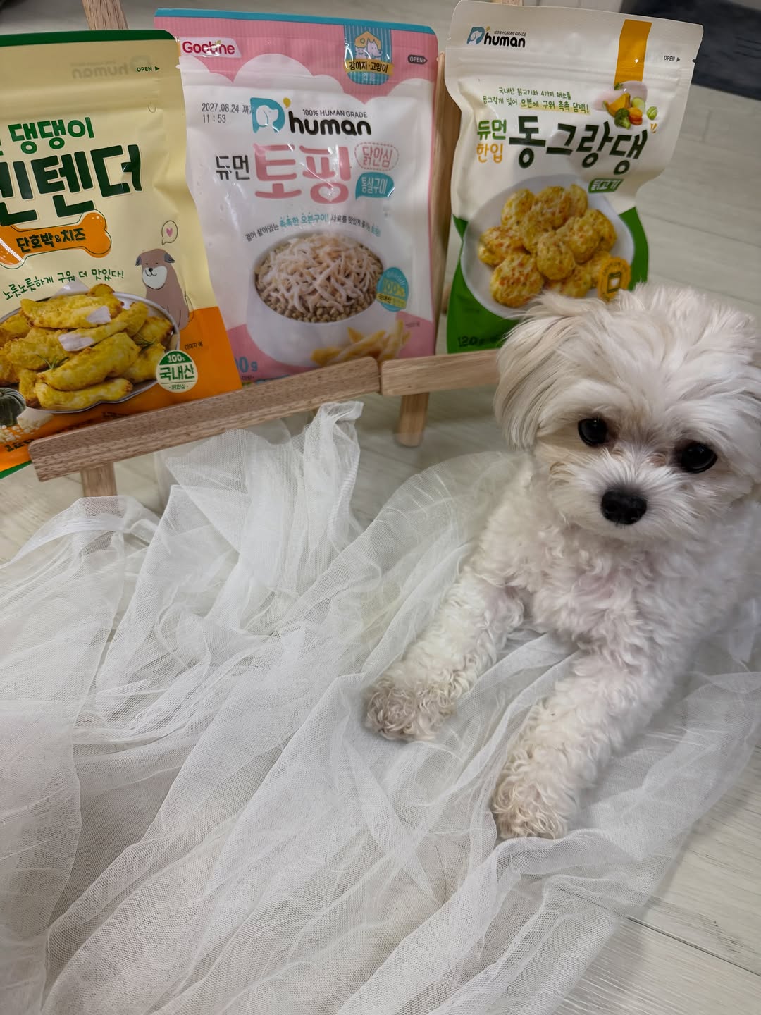 @_kolook_이 올린 D'human 듀먼 태그 게시물