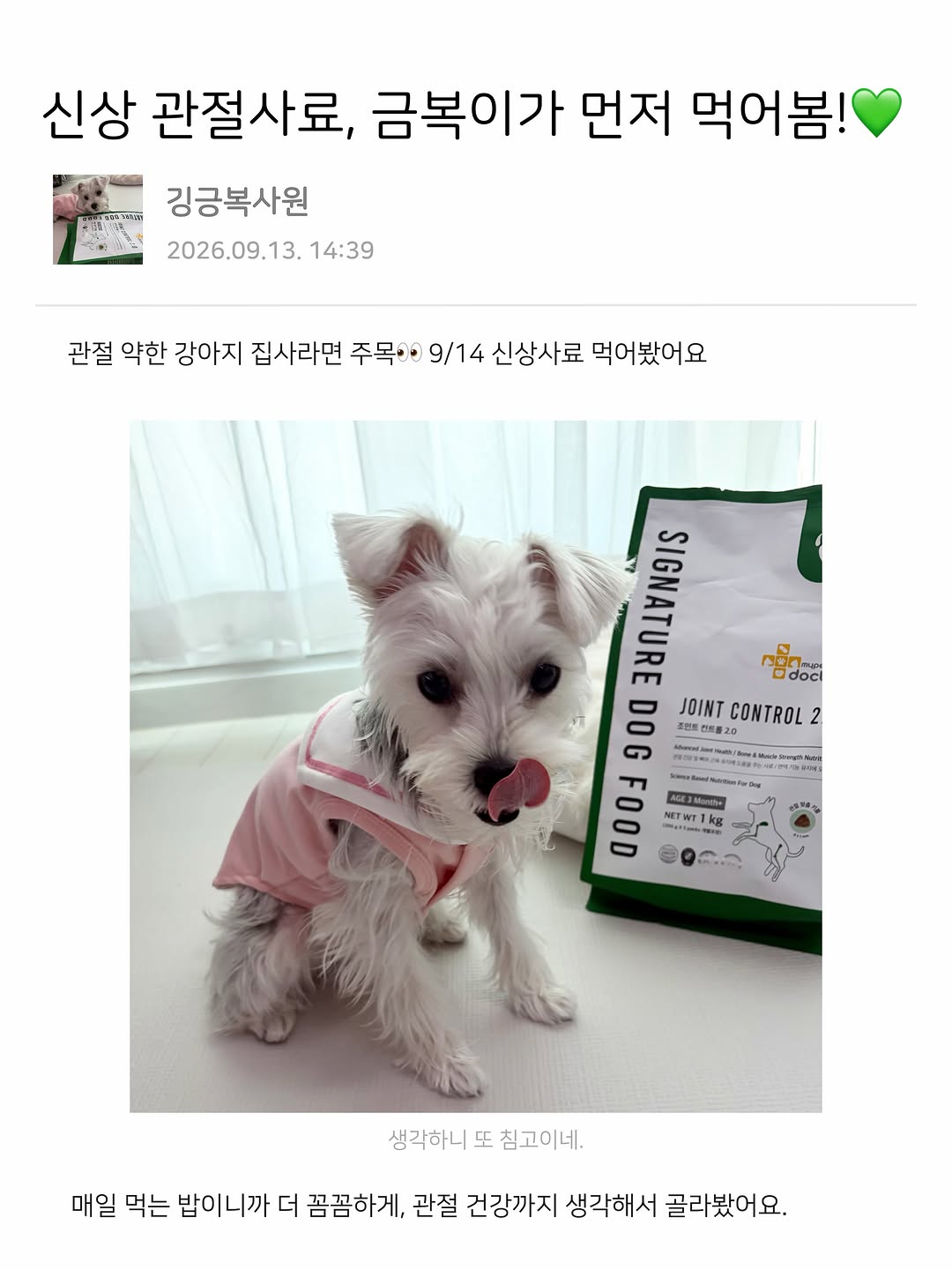 @lucky_boki이 올린 마이펫닥터 태그 게시물
