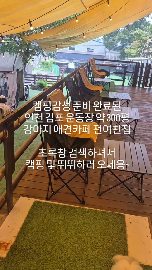 @_ex_house이 올린 아꾸 태그 게시물