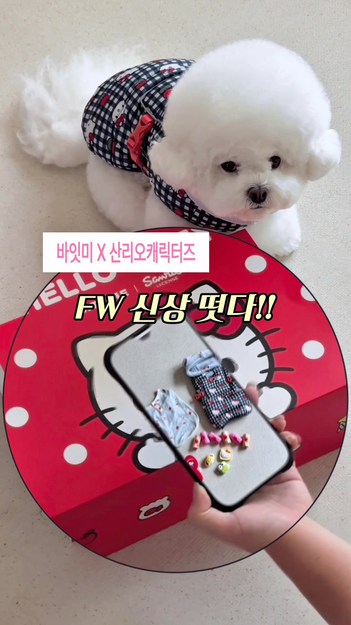 @barbi.bichon이 올린 바잇미 태그 게시물
