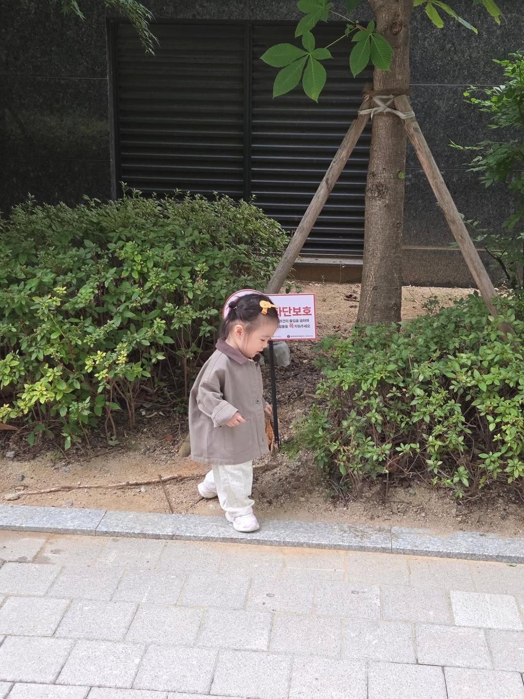@zzang_a_mom_이 올린 아베꼬몽 태그 게시물