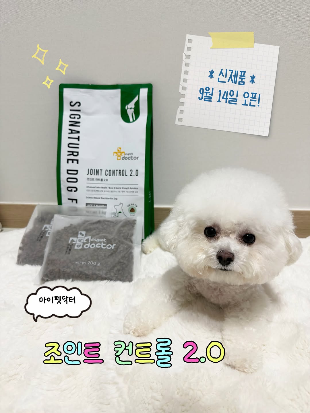 @im._.yb22이 올린 마이펫닥터 태그 게시물