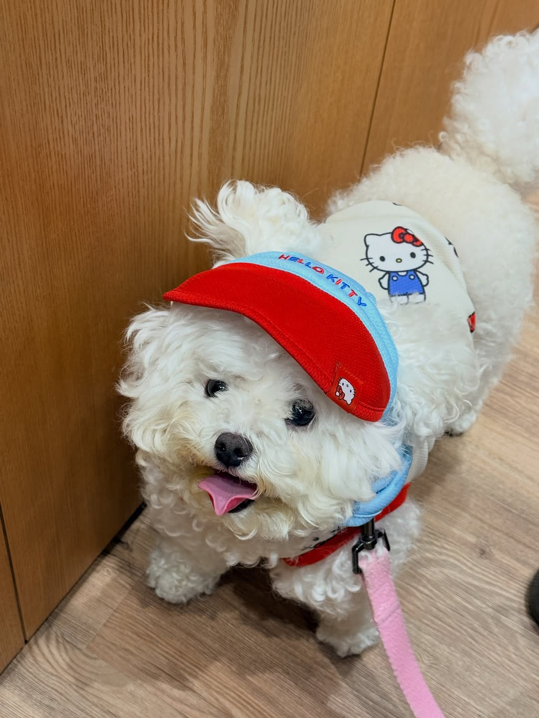 @ruung_zzang이 올린 바잇미 태그 게시물