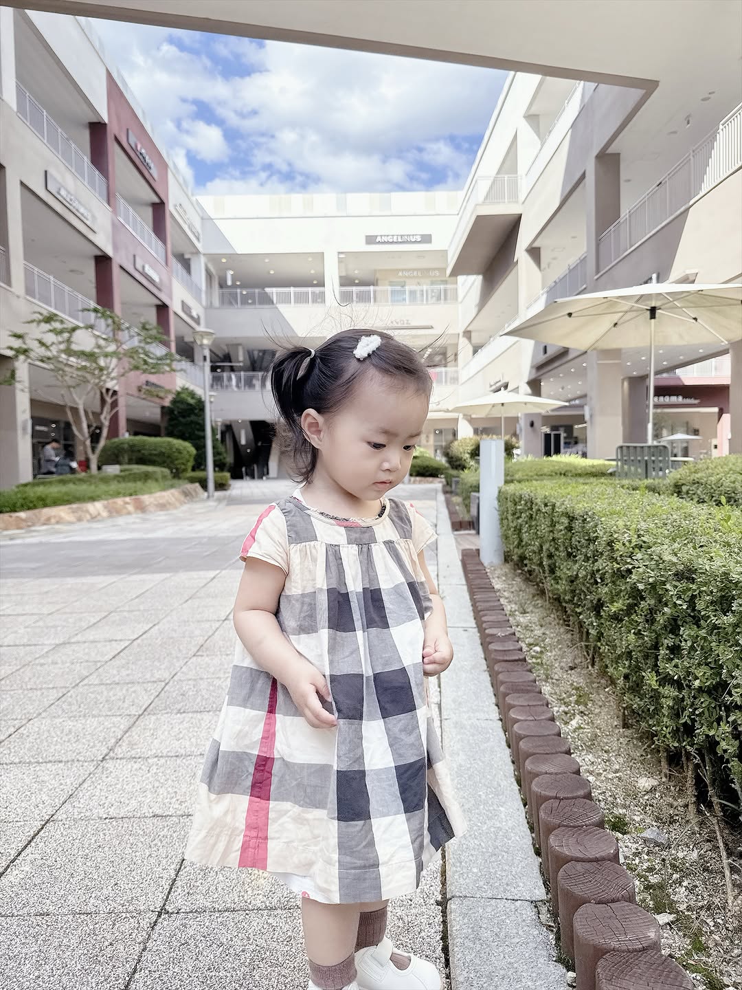 @lovely_babyduck_이 올린 타이니스텝 태그 게시물