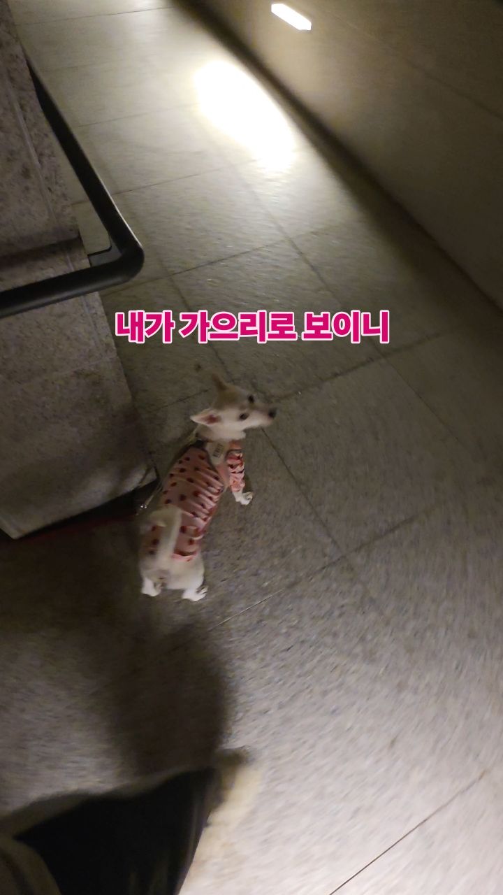 @stareal79이 올린 삼성전자 태그 게시물