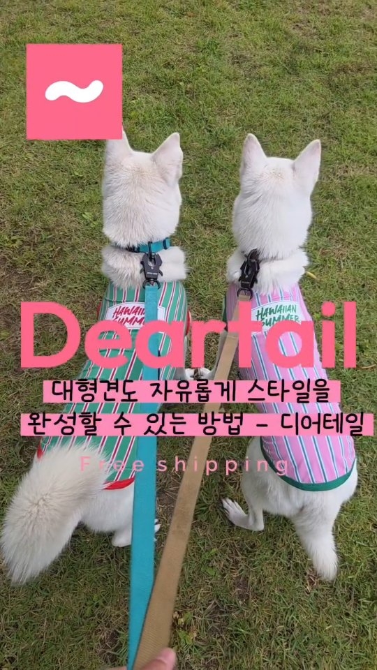 @blueberryblack_bbb이 올린 디어테일💕 태그 게시물