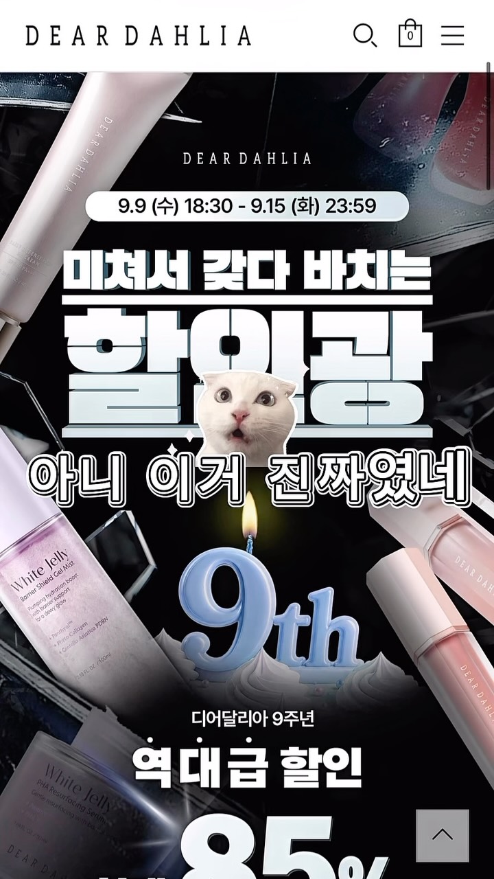 @r00ng_zip이 올린 디어달리아 태그 게시물
