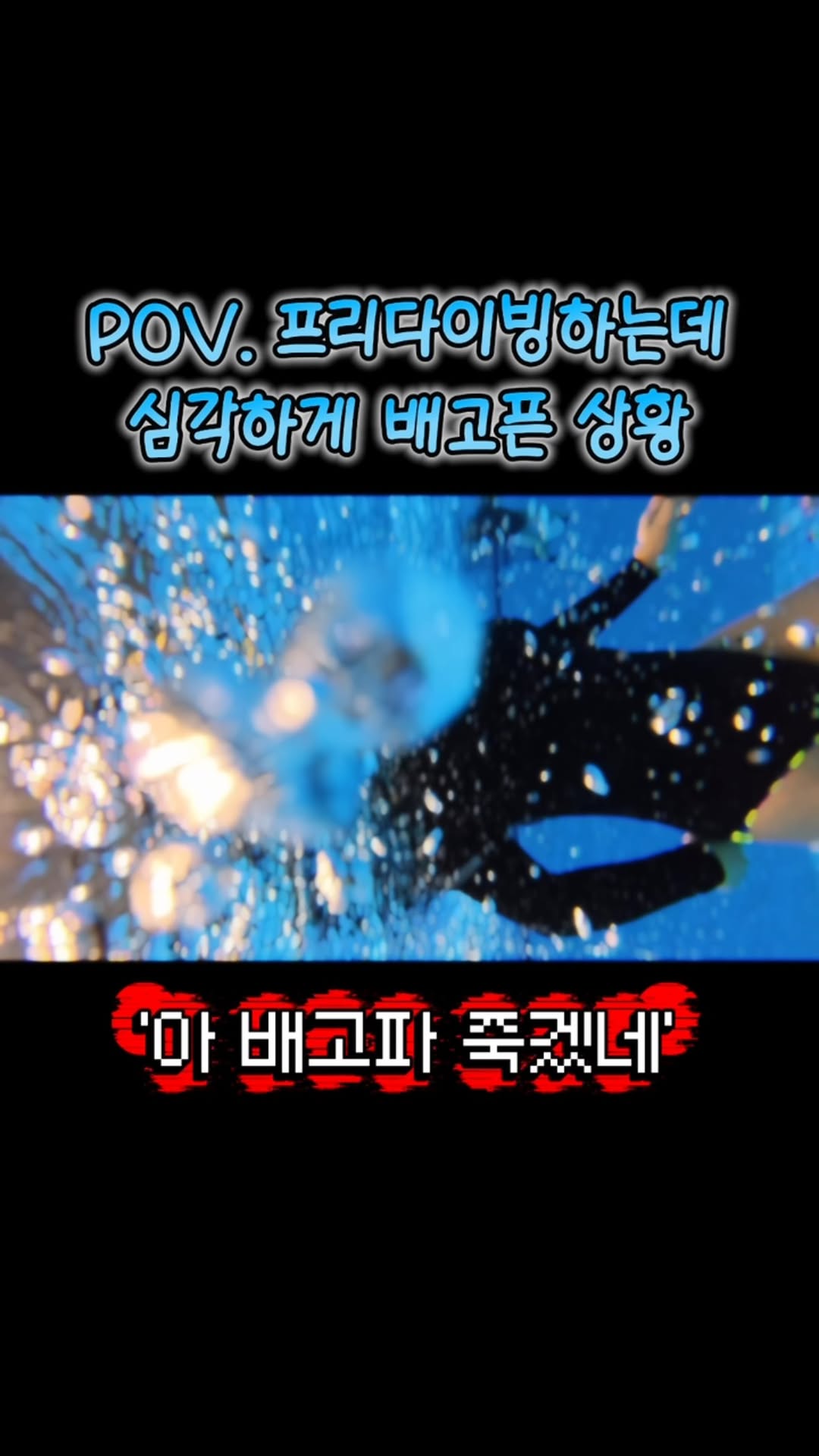 @today_swim.1이 올린 oompaa 움파 태그 게시물