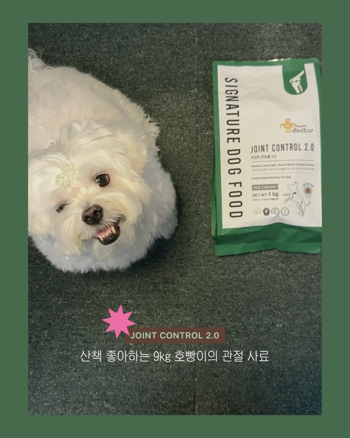 @ho._.bbang_이 올린 마이펫닥터 태그 게시물