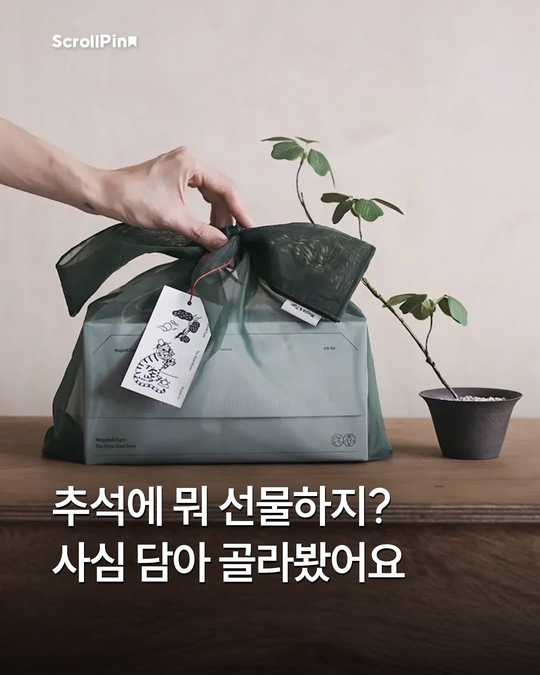 @scrollpin이 올린 클레이샵 태그 게시물