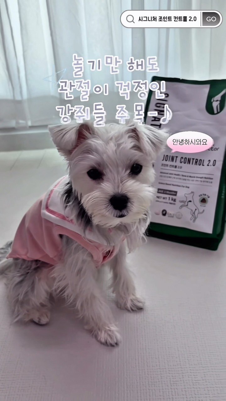 @lucky_boki이 올린 마이펫닥터 태그 게시물