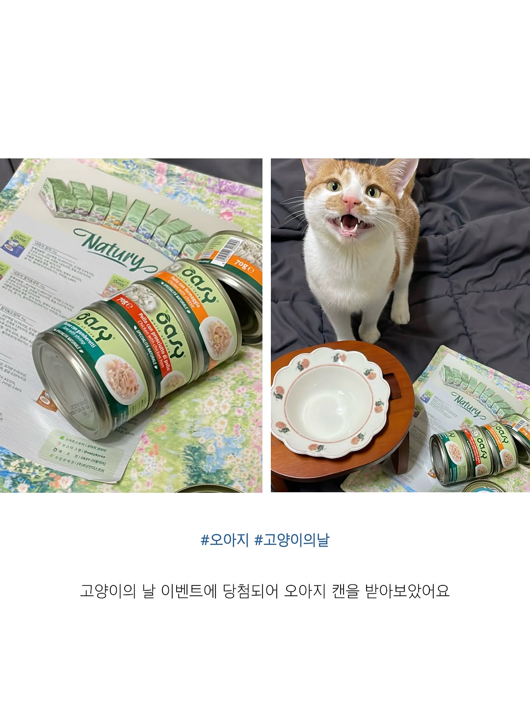@oasykorea_friends 광고 소재