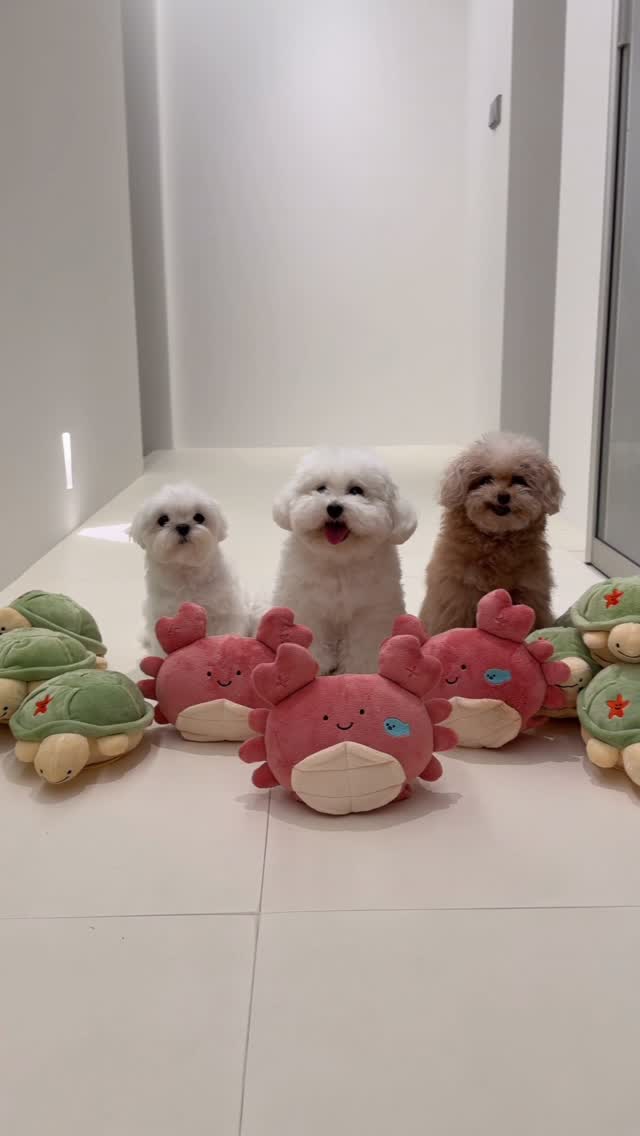 @miso_ara이 올린 바잇미 태그 게시물