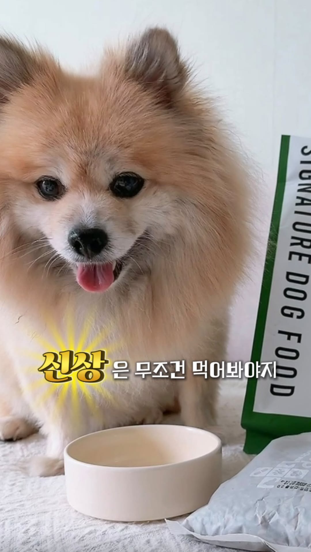 @marooo_world이 올린 마이펫닥터 태그 게시물