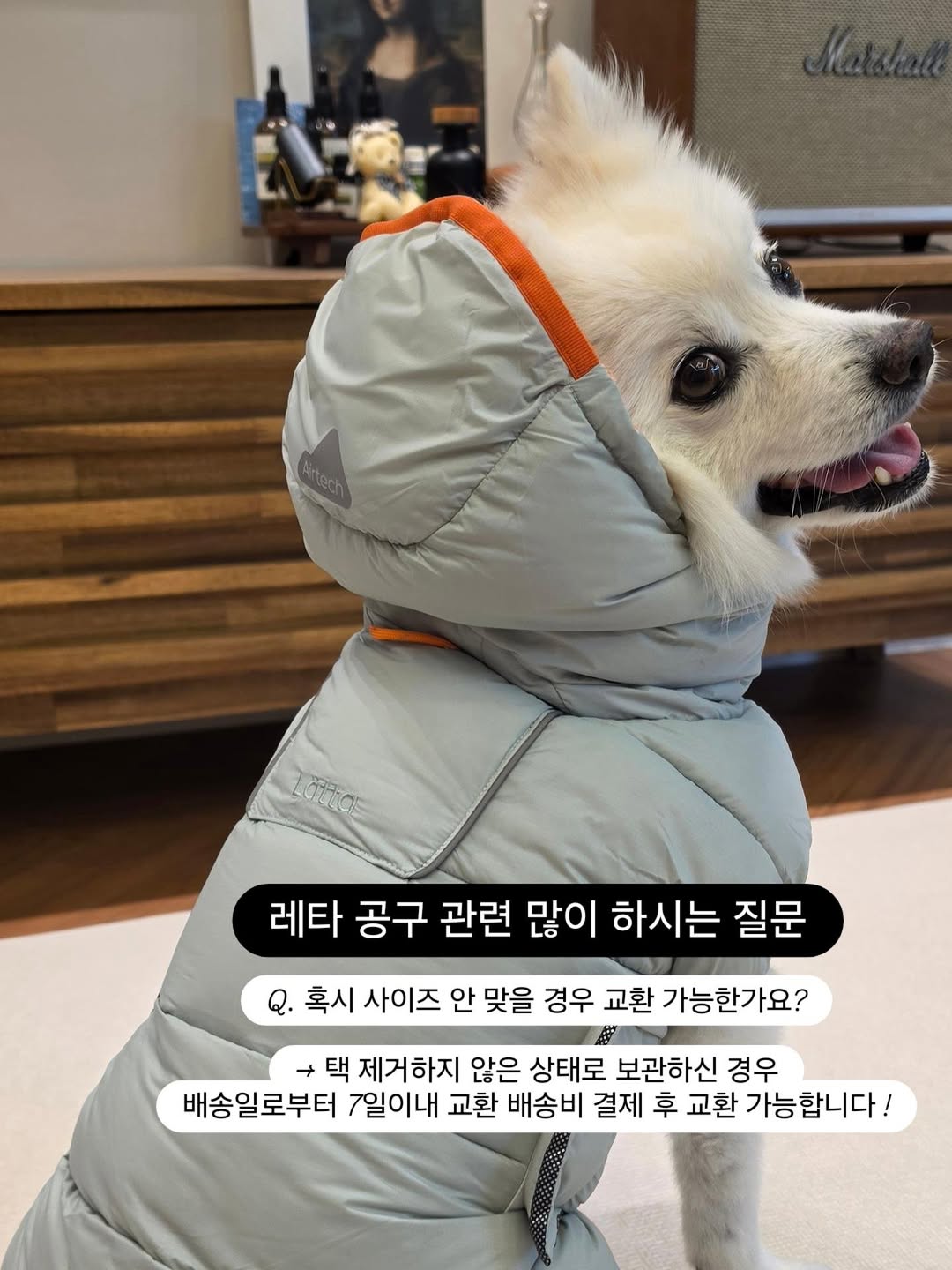 @coco_my.angel이 올린 바잇미 태그 게시물