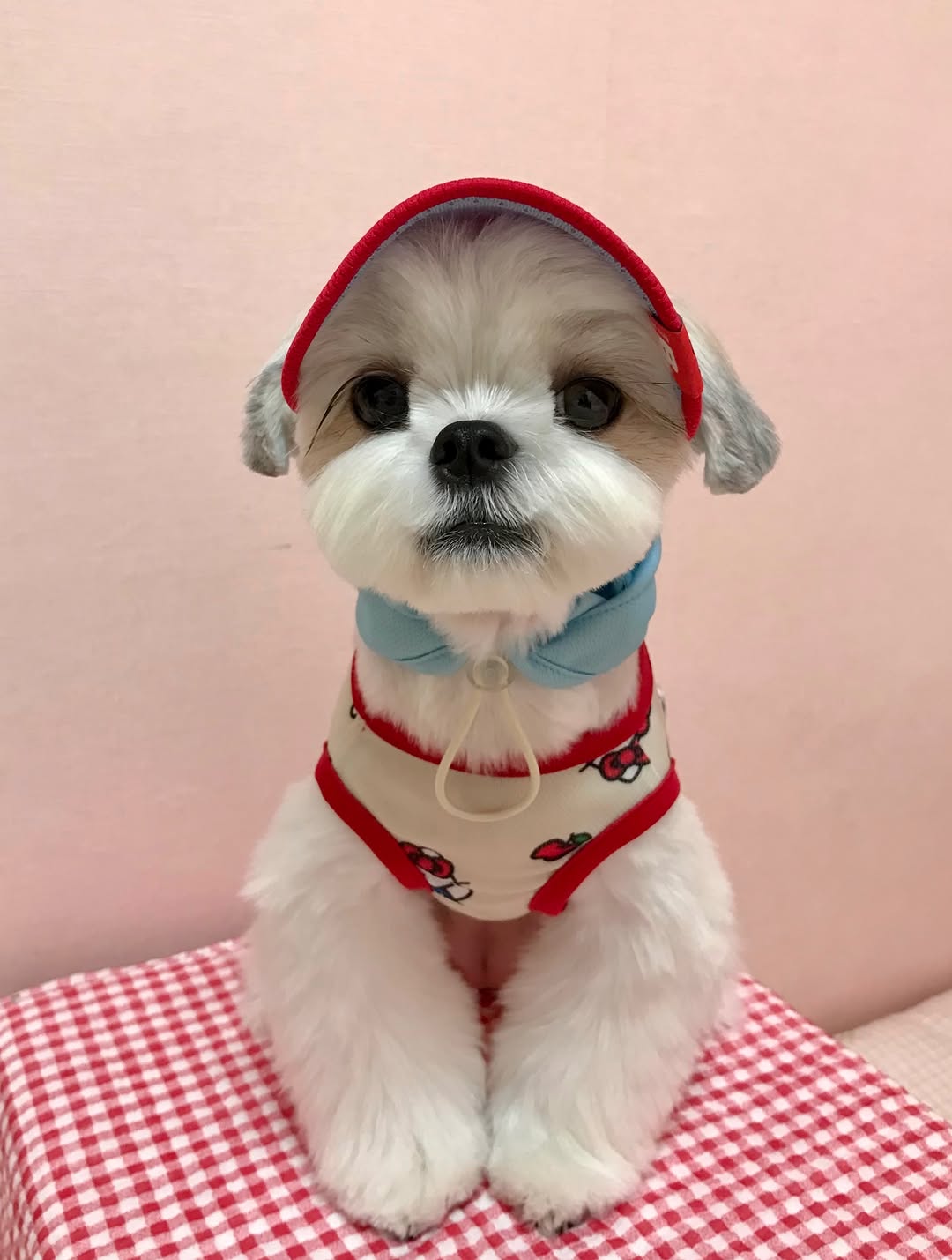 @seori0122이 올린 바잇미 태그 게시물