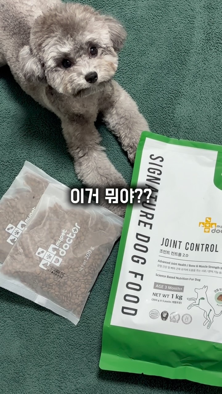 @black_pepper_k이 올린 마이펫닥터 태그 게시물